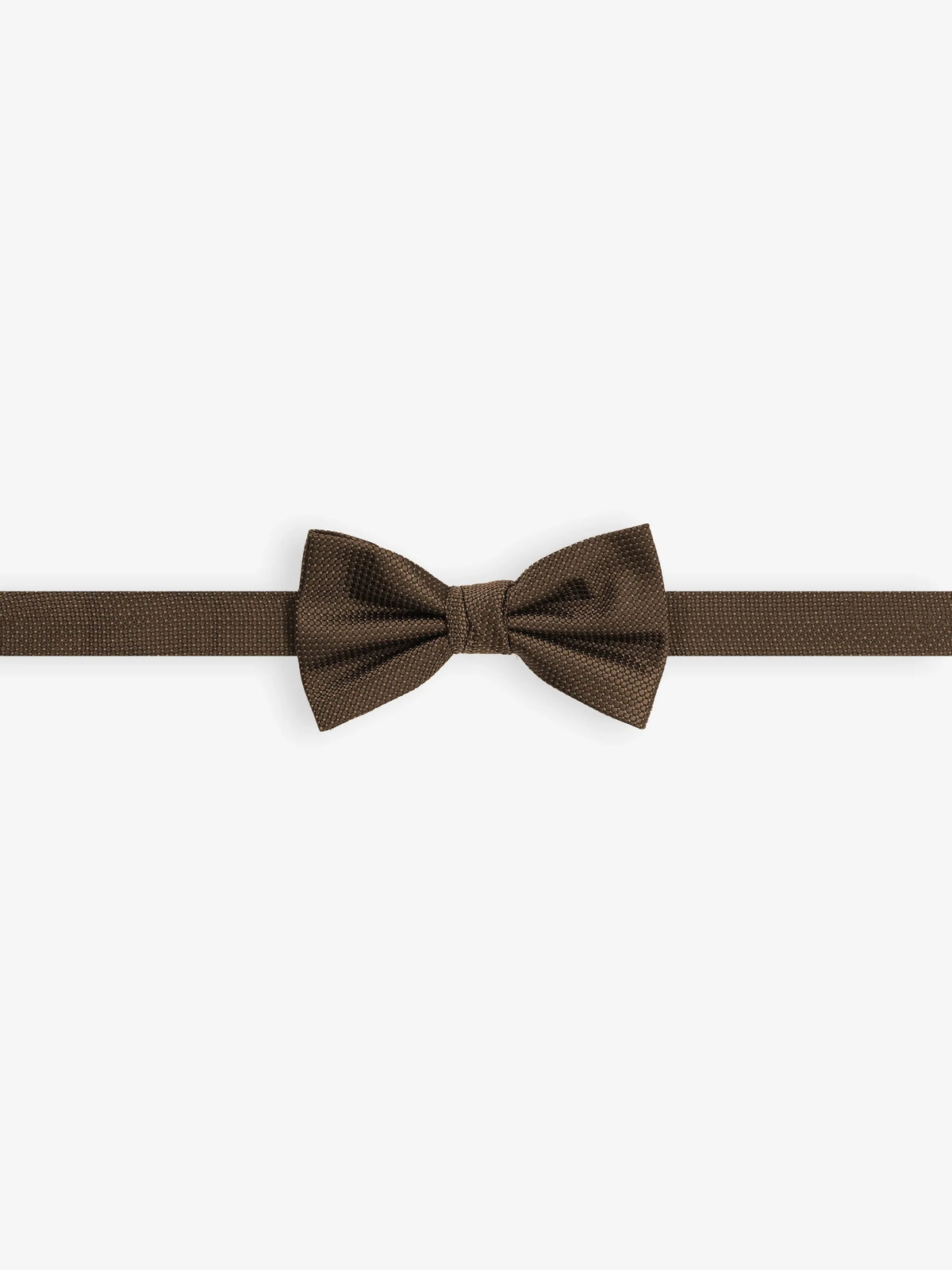 Nœud papillon fantaisie marron - IZAC