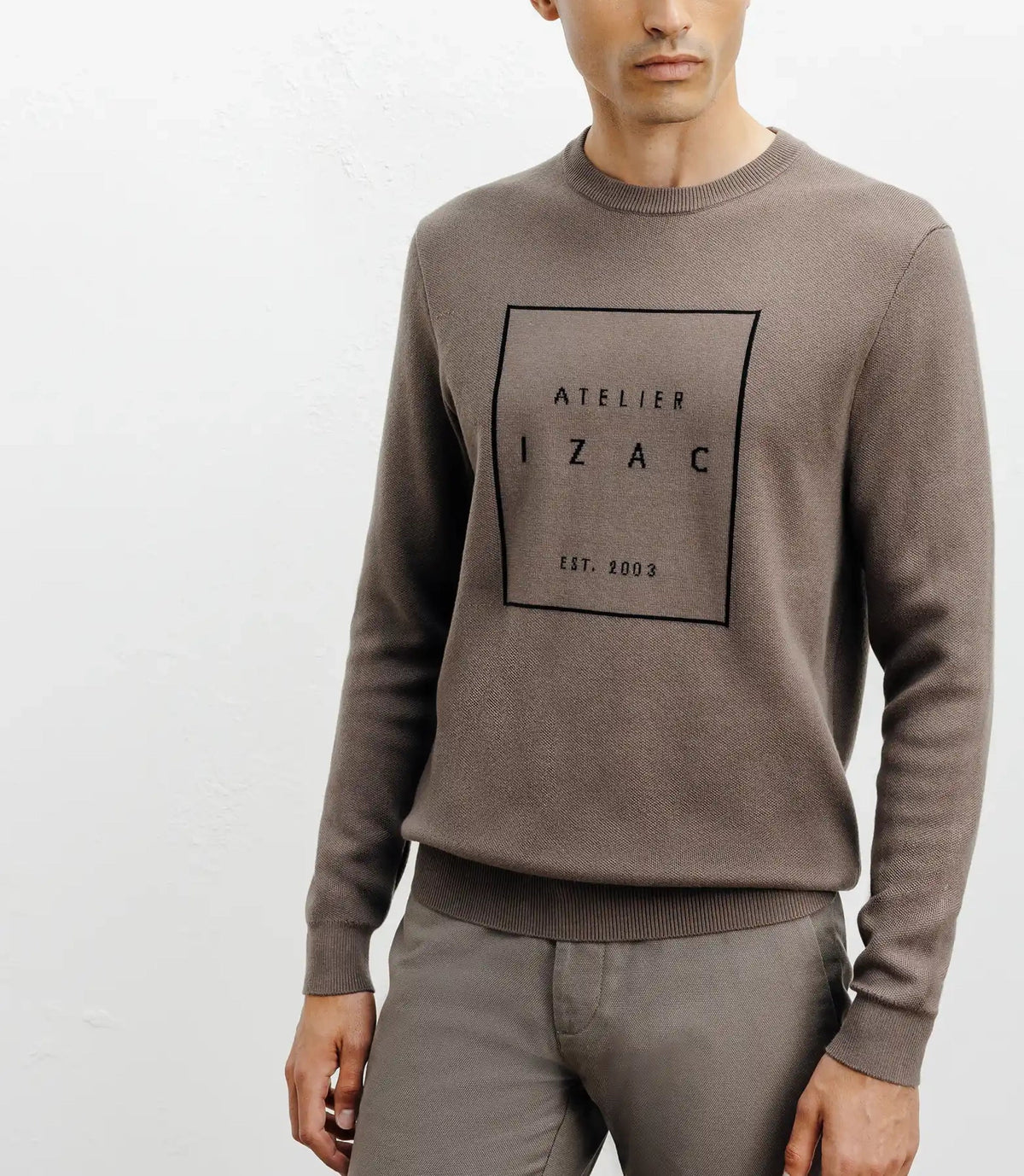 Pull col rond fantaisie chatain - IZAC