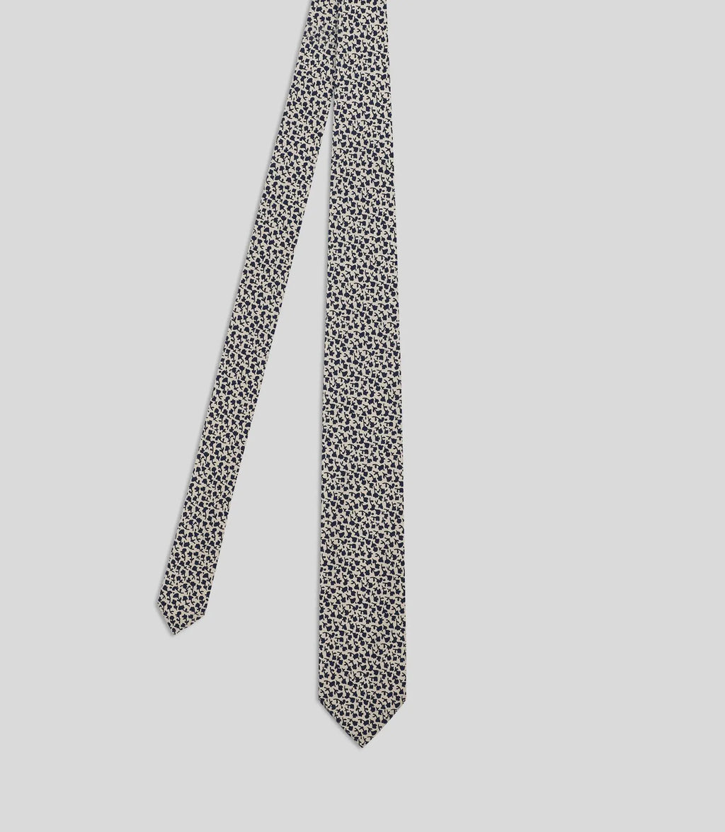 Cravate fantaisie beige - IZAC