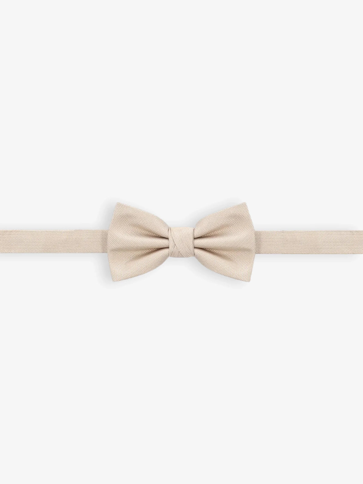 Noeud papillon uni beige - IZAC