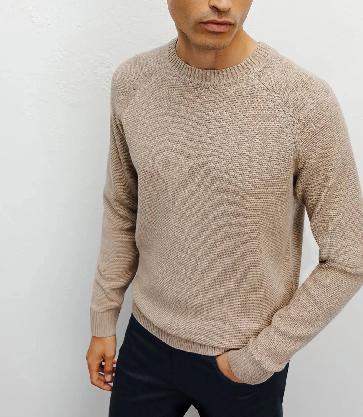 Pull col rond jeux de points beige - IZAC