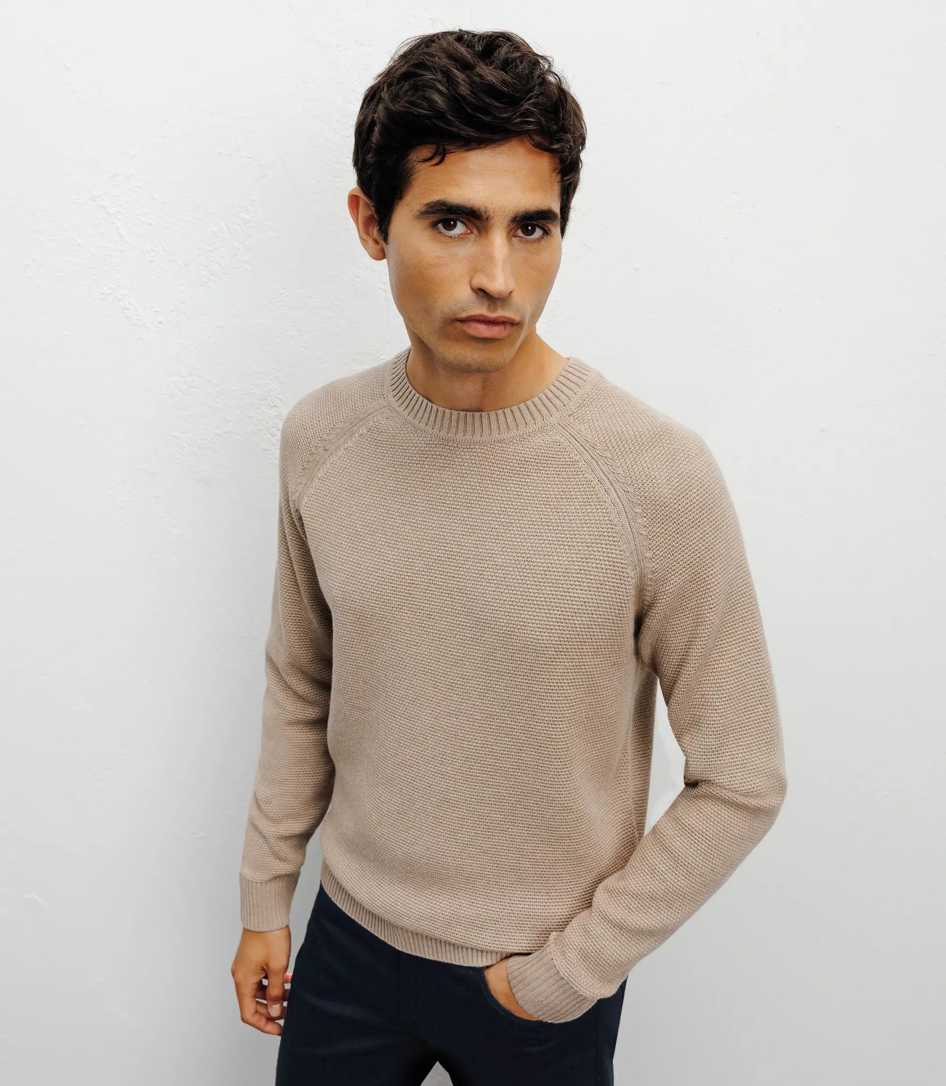 Pull col rond jeux de points beige - IZAC