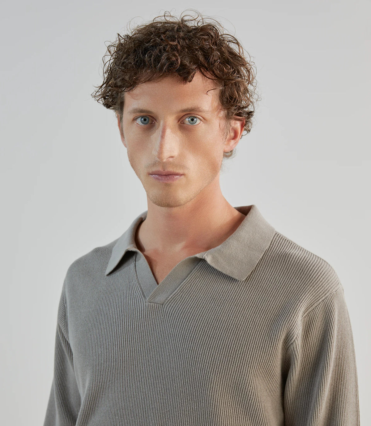 Pull col polo taupe - IZAC