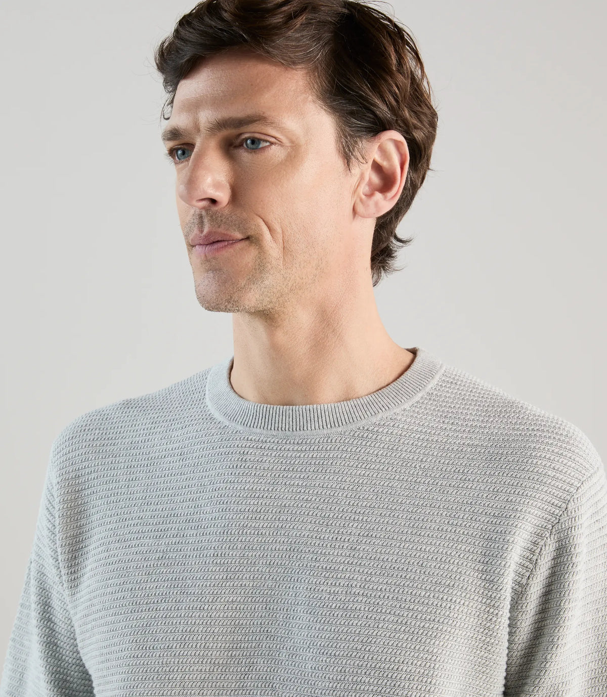 Pull col rond en jeu de points gris perle - IZAC