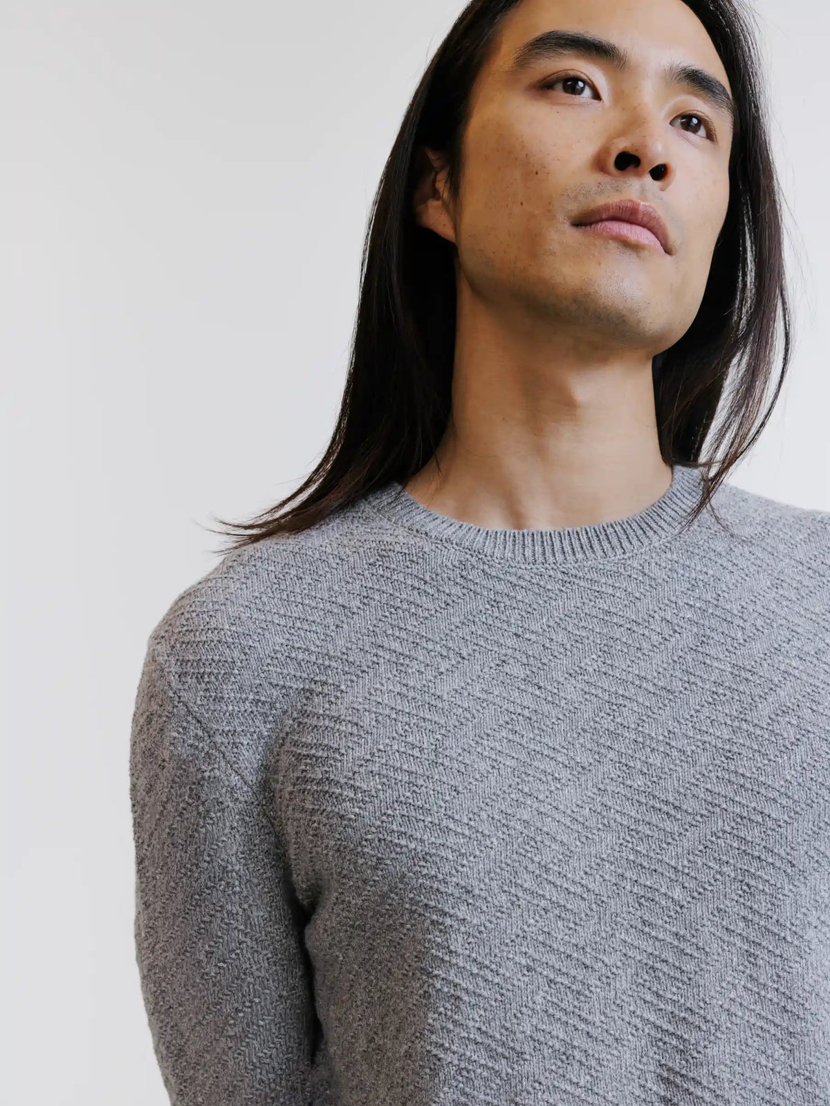 Pull jacquard col rond gris - IZAC
