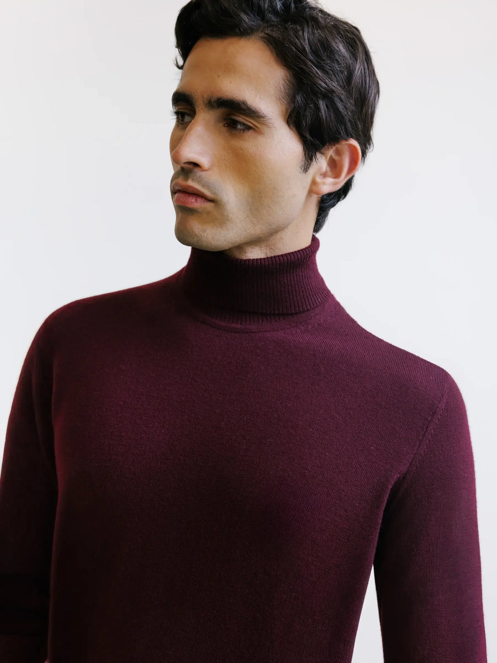 Pull col roulé en laine mérinos bordeaux - IZAC
