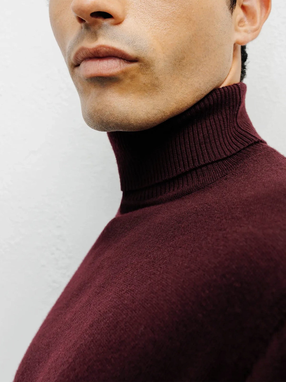 Pull col roulé bordeaux - IZAC