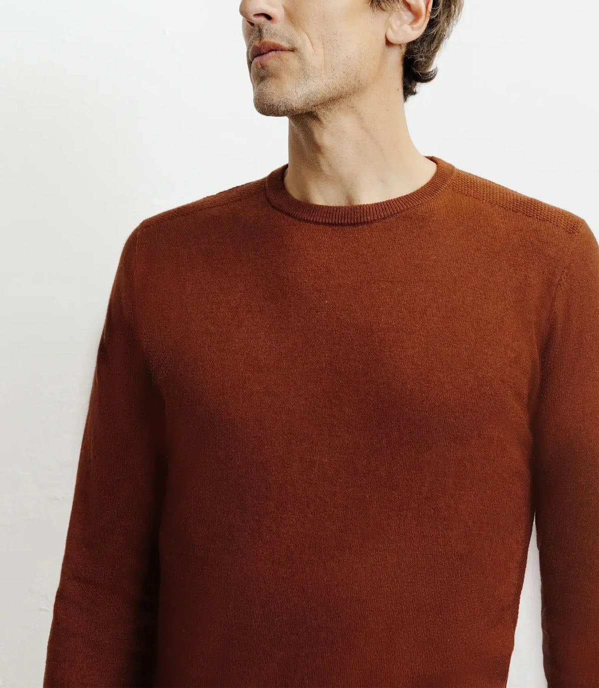 Pull col rond en coton rouille - IZAC