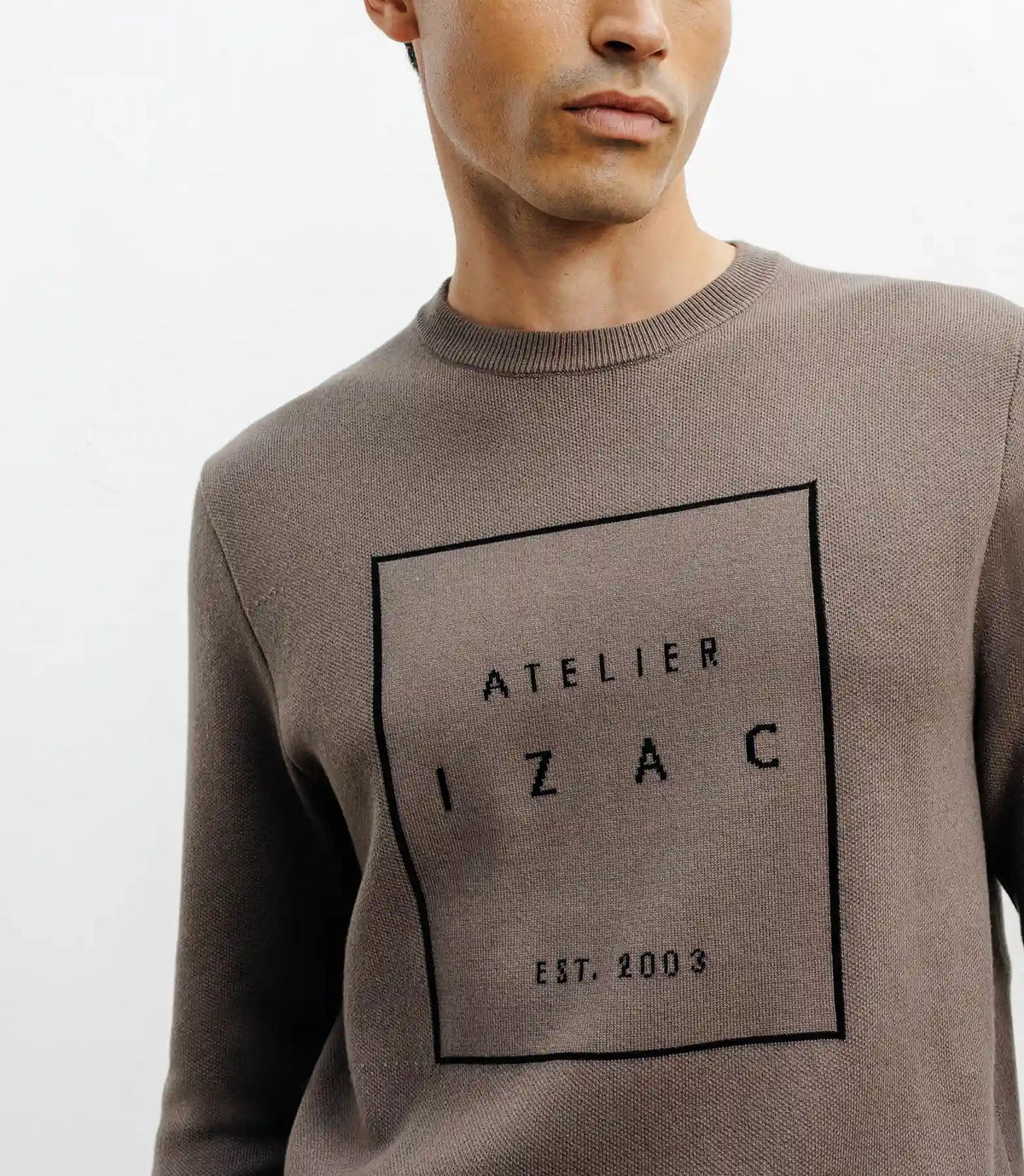 Pull col rond fantaisie chatain - IZAC