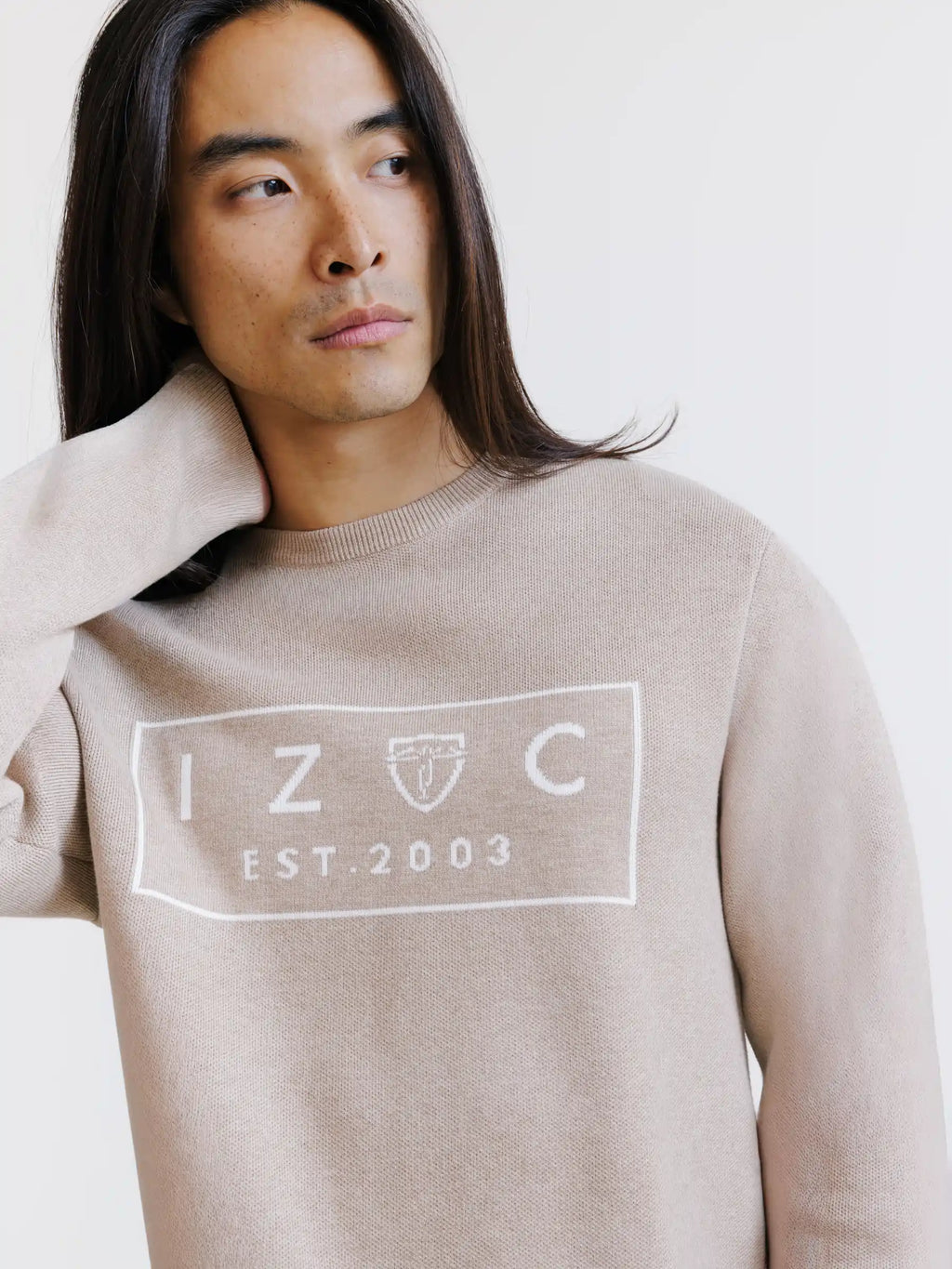 Pull jacquard col rond beige - IZAC