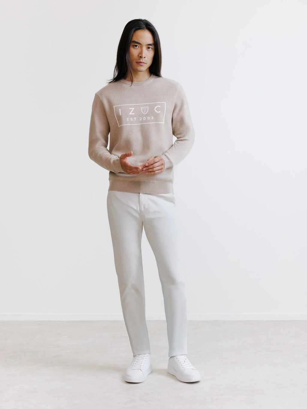 Pull jacquard col rond beige - IZAC