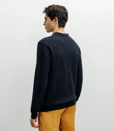 Pull col polo ouvert jeux de points marine - IZAC