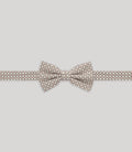 Noeud papillon fantaisie beige - IZAC