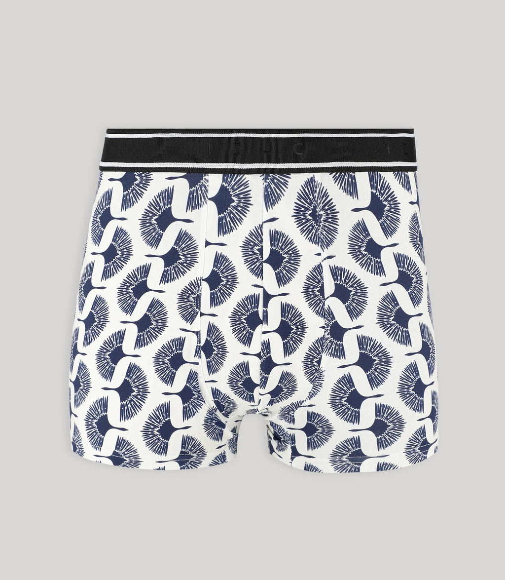 Pack de boxers noir - IZAC