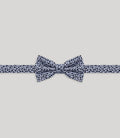 Noeud papillon fantaisie ciel - IZAC