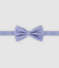 Nœud papillon rayé bleu - IZAC