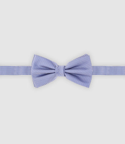 Nœud papillon rayé bleu - IZAC