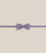 Noeud papillon original parme - IZAC