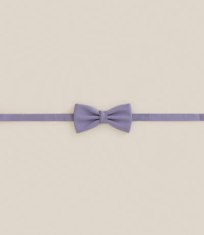 Noeud papillon original parme - IZAC