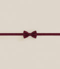 Noeud papillon 100% soie bordeaux - IZAC