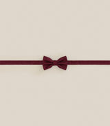 Noeud papillon 100% soie bordeaux - IZAC