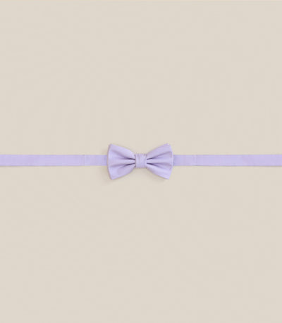 Noeud papillon 100% soie parme - IZAC