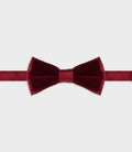 Noeud papillon bordeaux DUOTUTI - IZAC