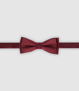 Nœud papillon à motifs bordeaux - IZAC