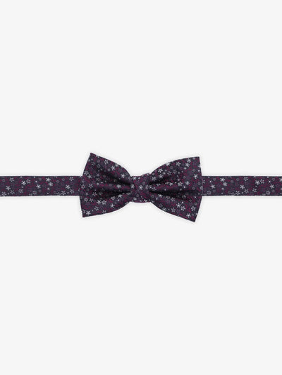 Nœud papillon fantaisie bordeaux - IZAC