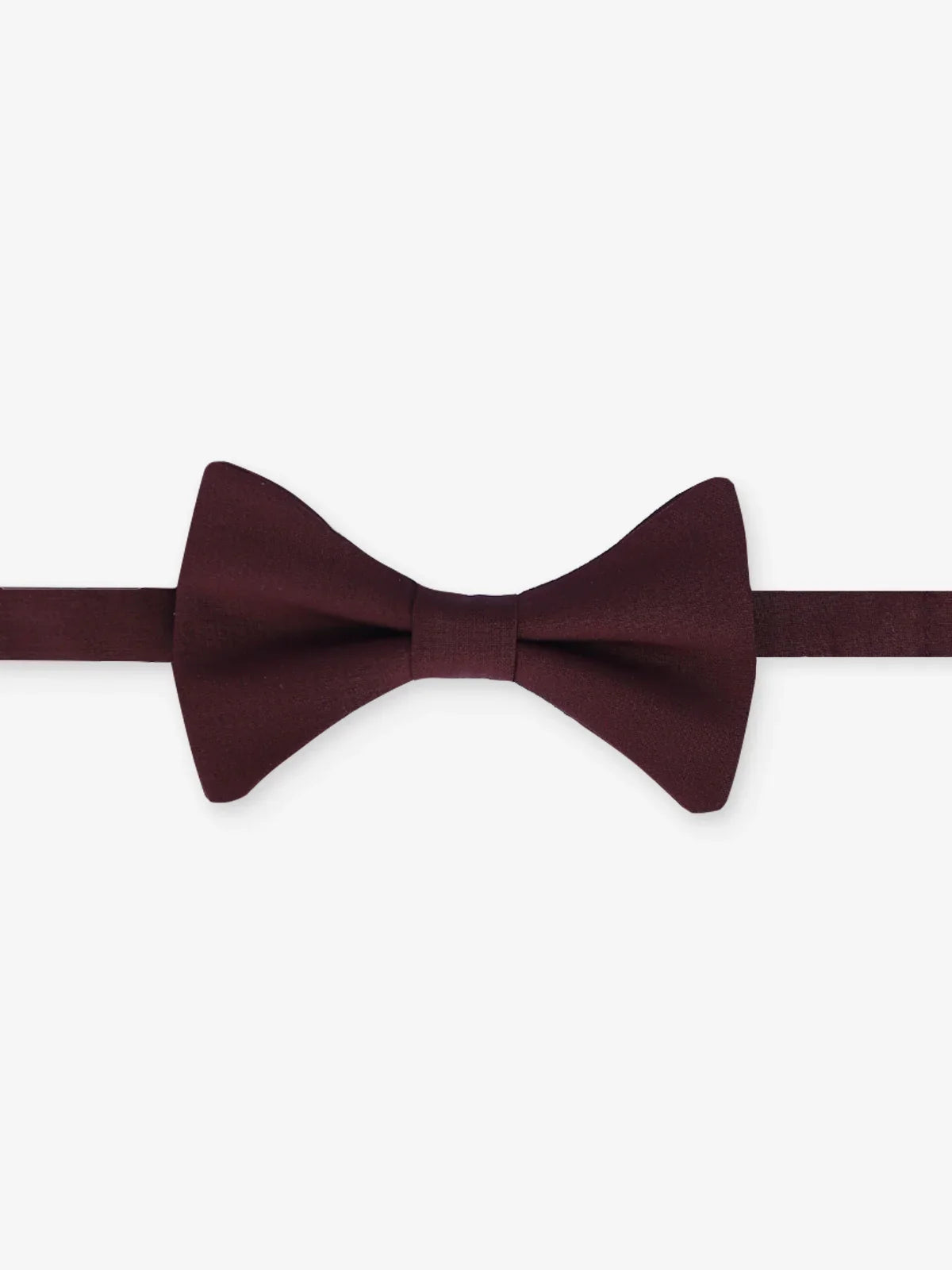 Nœud papillon uni prune - IZAC