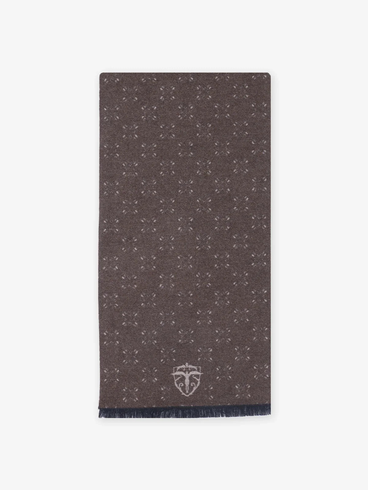 Écharpe beige - IZAC