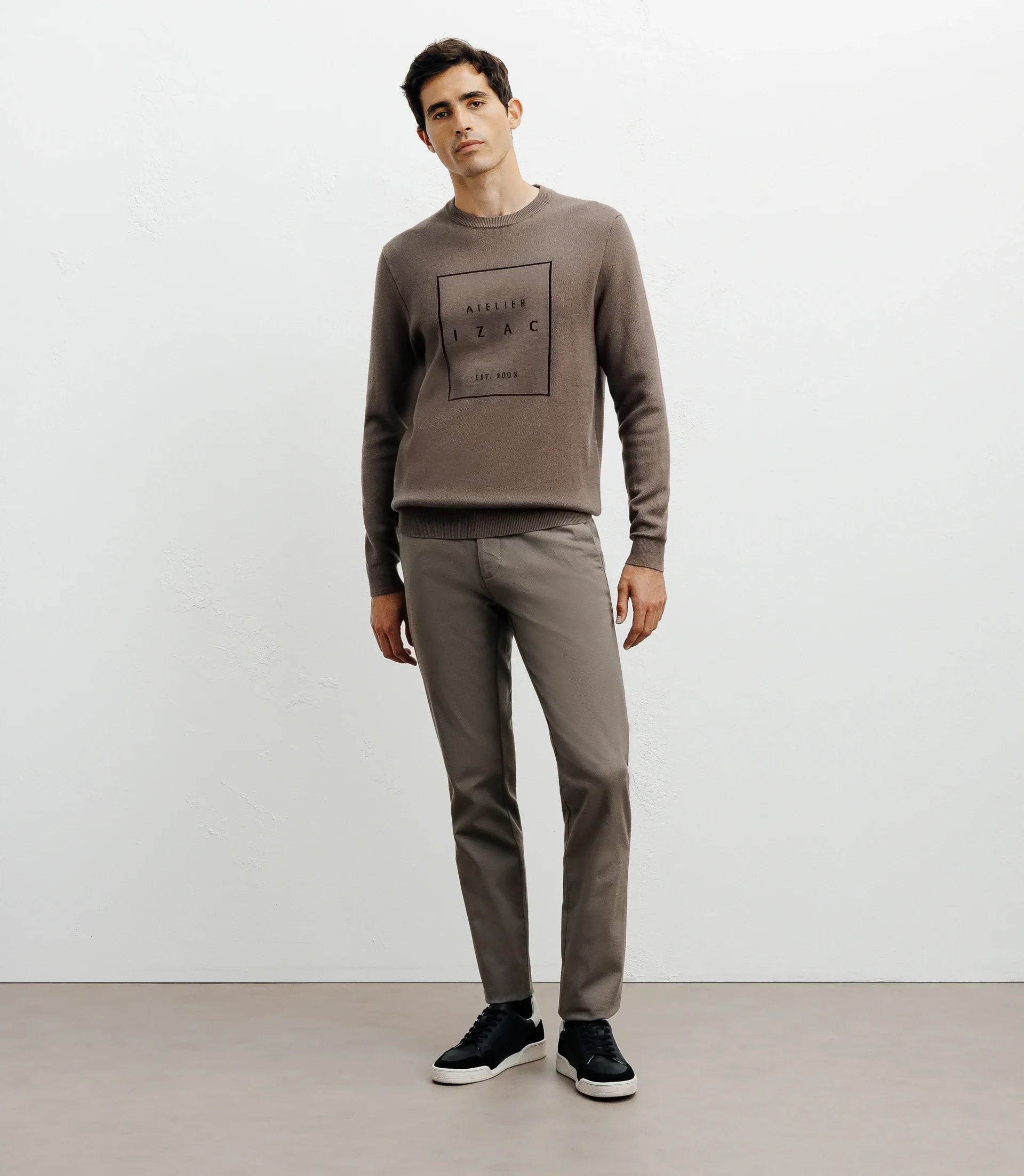 Pull col rond fantaisie chatain - IZAC